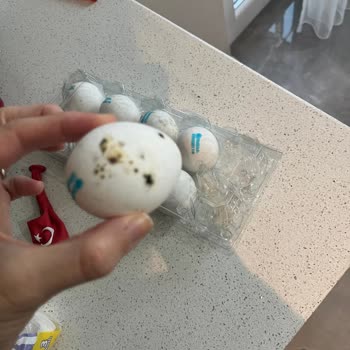 Getir'den Aldığım Organik Yumurtalar Küflü Çıktı, Müşteri Hizmetlerine Ulaşamıyorum