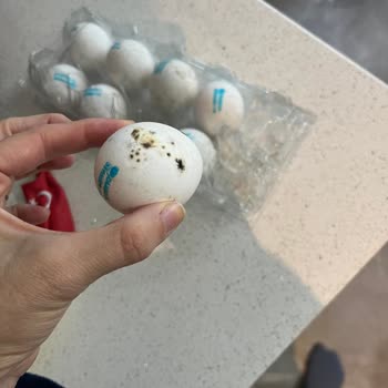 Getir'den Aldığım Organik Yumurtalar Küflü Çıktı, Müşteri Hizmetlerine Ulaşamıyorum