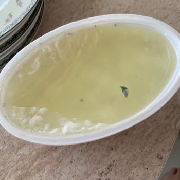 Son Kullanma Tarihi Geçmemiş Peynirde Küf Sorunu İle Hayal Kırıklığı