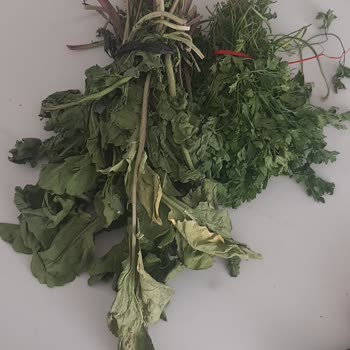 Profilo Buzdolabında Sürekli Ürünlerin Bozulma Sorunu