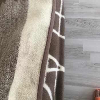 Atlantik Halı Yıkama'da Temizlik Ve Müşteri Hizmetleri Sorunu