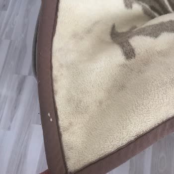 Atlantik Halı Yıkama'da Temizlik Ve Müşteri Hizmetleri Sorunu