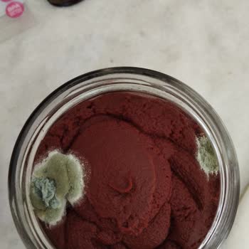 Küflü Burcu Salça Sağlık Riski Yarattı, Güvenimiz Sarsıldı