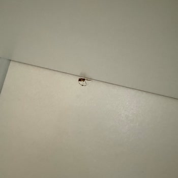 Hasarlı Teslim Edilen Gardırop Ve Müşteri Hizmetlerinden Dönüş Alamadım