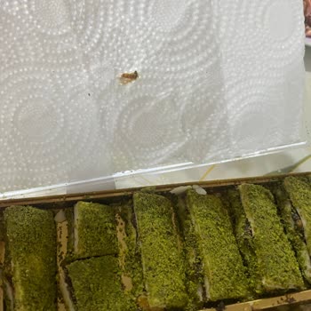 Aldığım Lokumda Kurt Ve Ağsı Yapılar Çıktı, Mağduriyetimin Giderilmesini İstiyorum