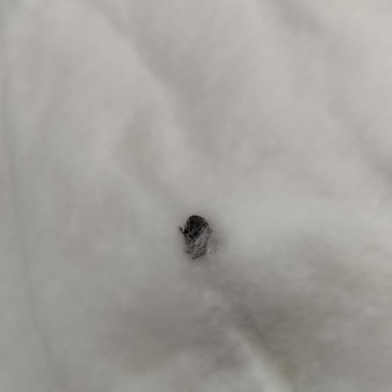 Bebek Bezinden Böcek Çıkmasıyla Şok Olduk, Markanızı Bıraktık