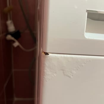 Siemens Çamaşır Makinesinde Erken Paslanma Ve Boya Kabarması Hayal Kırıklığı