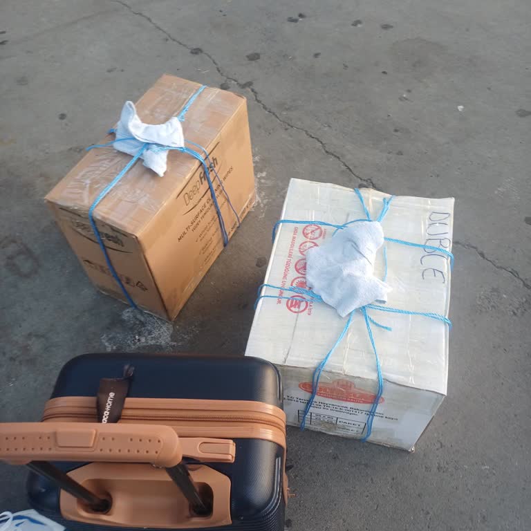 Haksız Bagaj Ücreti Ve Firma İlgisizliği Mağduriyeti