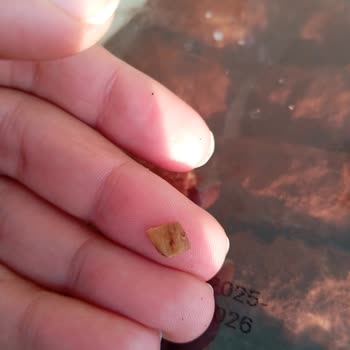 Soğuk Baklavadan Çıkan Cam Parçası Çocuğumun Ağzını Yaraladı