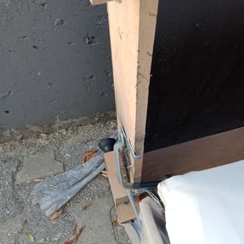 Kelebek Kanepenin Kalitesi