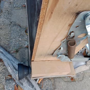 Kelebek Kanepenin Kalitesi