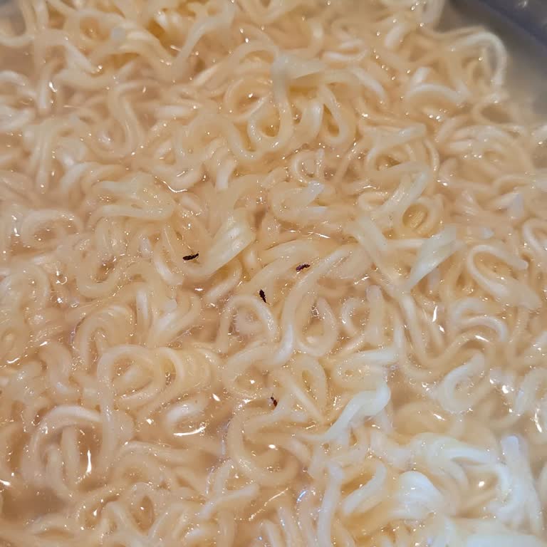Aldığım Noodle Paketinden Böcek Çıktı, Şaşkın Ve Üzgünüm