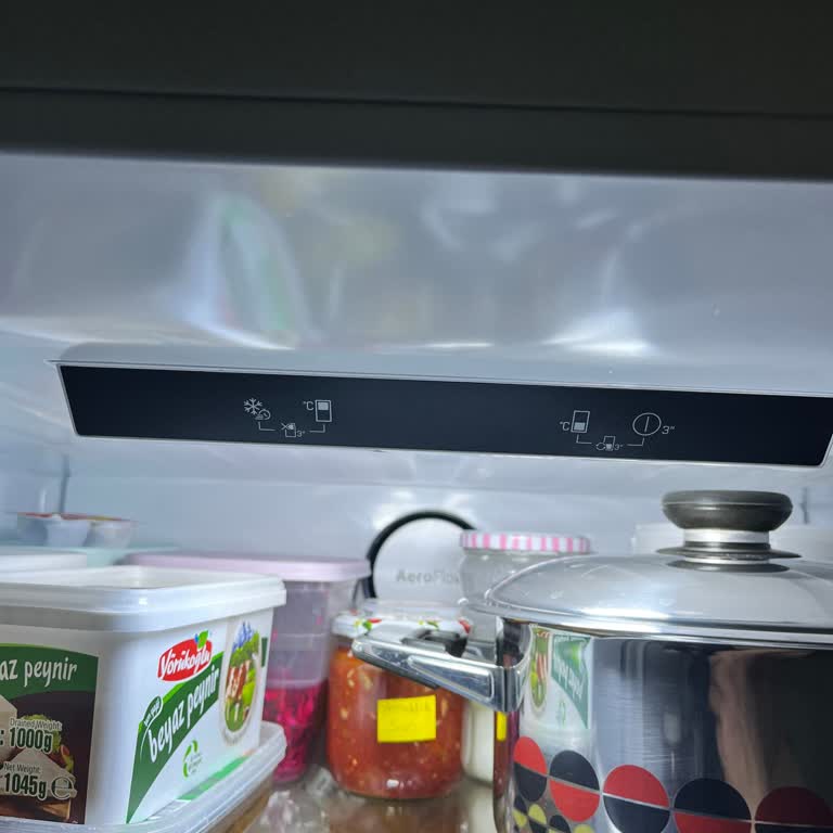 Beko Buzdolabındaki Ses Sorunu!