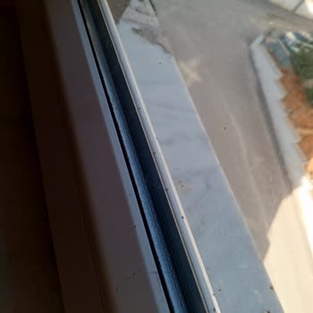 Üvez Böceği Sorunu İçin Çözüm Ve İlaçlama Talebimiz Karşılanmıyor