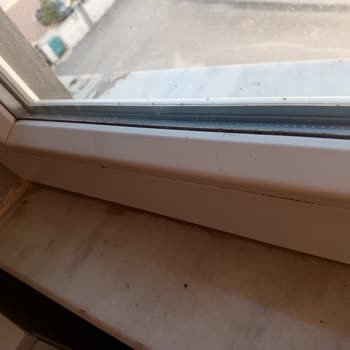 Üvez Böceği Sorunu İçin Çözüm Ve İlaçlama Talebimiz Karşılanmıyor