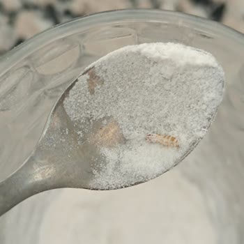 Aldığım Pirinç Ununda Kurtçuk Çıktı, Mağduriyetim Giderilmiyor