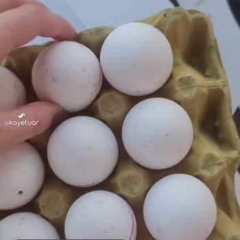 Ankamar Ekonomi Marketleri (Ordu) Kibar Yumurtanın Küflü Çıkması!
