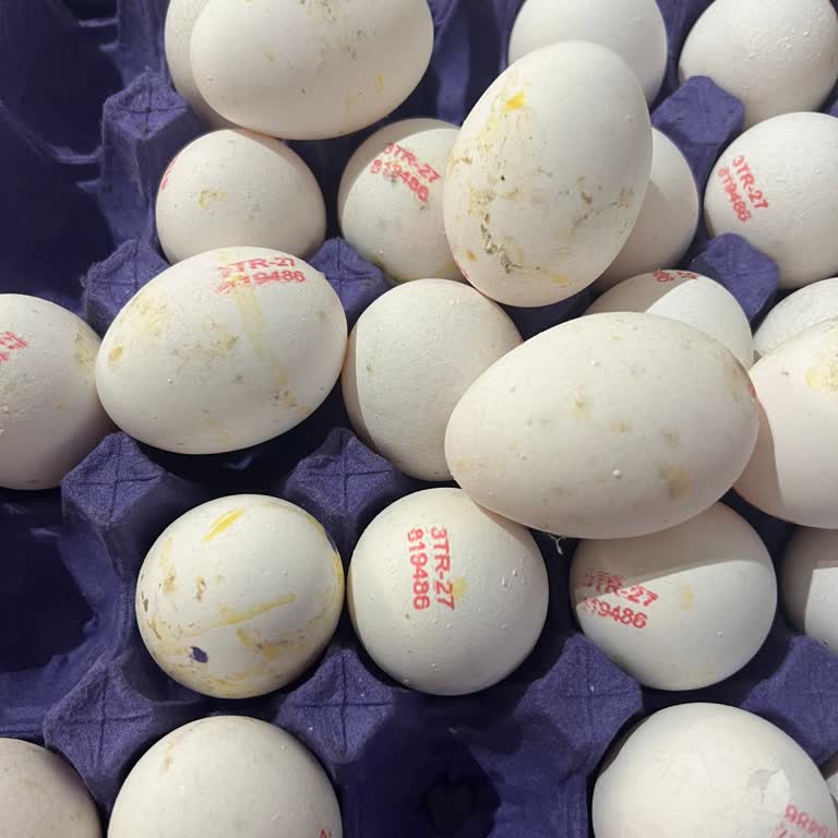 Küflü Yumurta Ve Son Günü Geçmiş Yoğurt İçin Yetersiz Çözüm Mağduriyeti