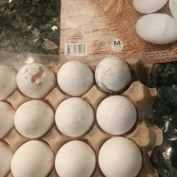 A101'den Aldığım Yumurtalar Küflü Ve Kırık Çıktı, Sağlığımız Tehlikeye Girdi