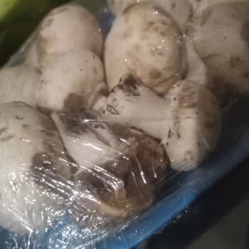 A101 Online Siparişimde Taze Yerine Bozuk Ve Olgunlaşmamış Ürünler Gönderildi