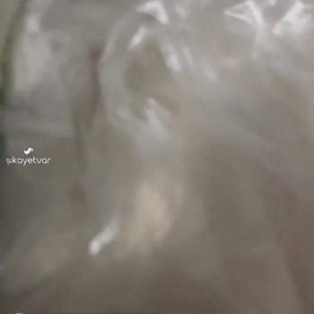Ozmo Yumurtadan Kurt Çıktı