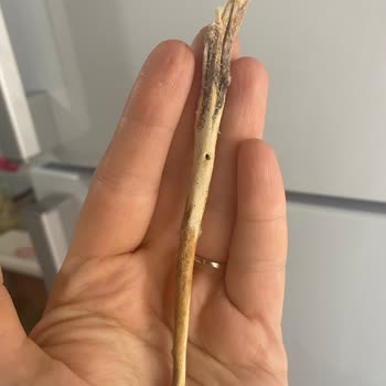 Dondurulmuş Patates İçinden Tahta Çubuk Çıktı: Çocuğumun Sağlığı Tehlikedeydi