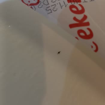 Eker Yoğurdun İçinde Yabancı Cisim Çıktı, Ücret İadesi İstiyorum