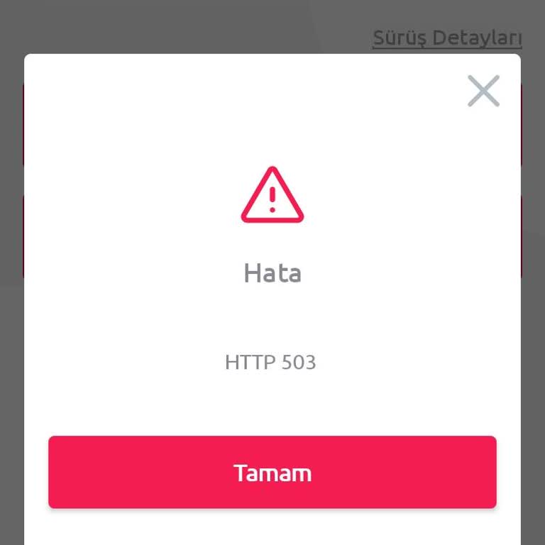 Uygulama Hatası Nedeniyle Aracı Teslim Edemiyor, Ek Ücret Ödemek Zorunda Kalıyorum