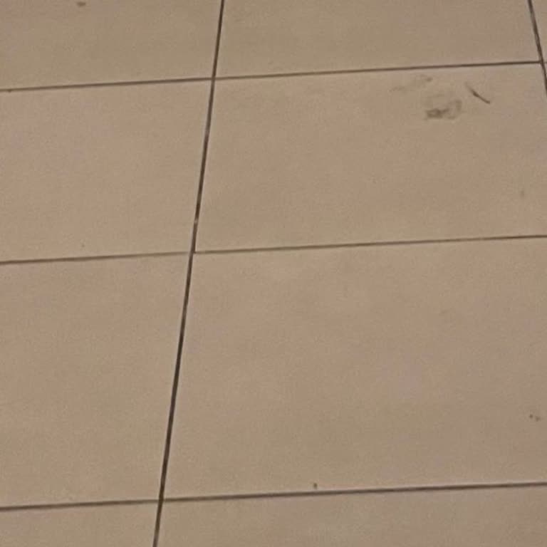 Yemeksepeti Siparişimde Kurye Ve Canlı Destek Mağduriyeti