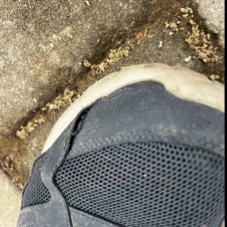 Skechers Ayakkabıda 4 Ayda Dikiş Açılması Ve Garanti Reddi Mağduriyeti