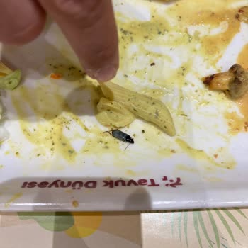 Tavuk Dünyasında Yemeğin İçinde Böcek Bulduk Müdürün İlgisizliğiyle Mağdur Olduk