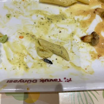 Tavuk Dünyasında Yemeğin İçinde Böcek Bulduk Müdürün İlgisizliğiyle Mağdur Olduk