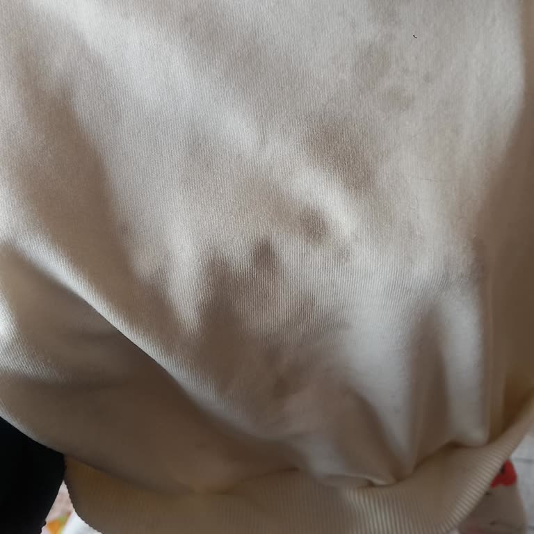 Leke Çıkarıcı Sprey, Tişörtte Kalıcı Leke Oluşturdu!