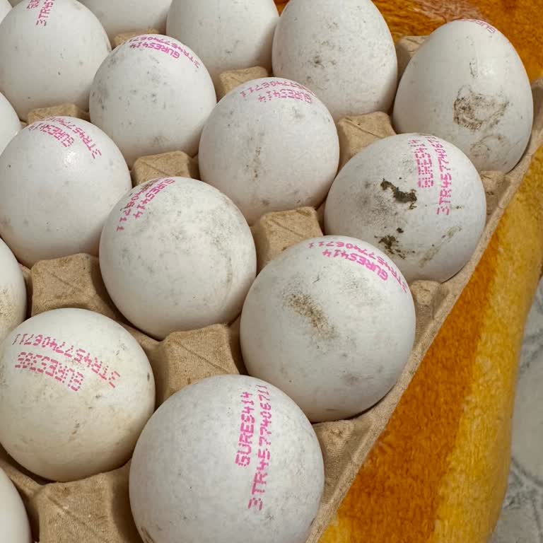 Migros Hemen’den Bozuk Ve Tarihi Geçmiş Ürün Teslimatı, İlgisizlik