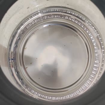 Çay Makinesinde Kısa Sürede Küf Oluştu, Sorun Çözülmedi