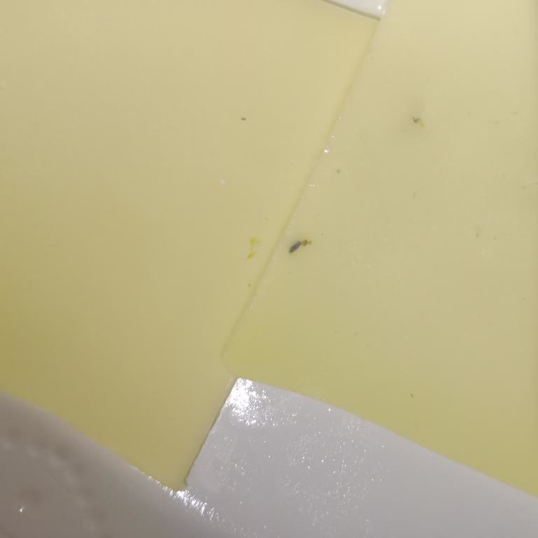 Aknaz Kaşar Peynirinde Taş Parçacıkları: Sağlık Riski Ve Güven Sorunu