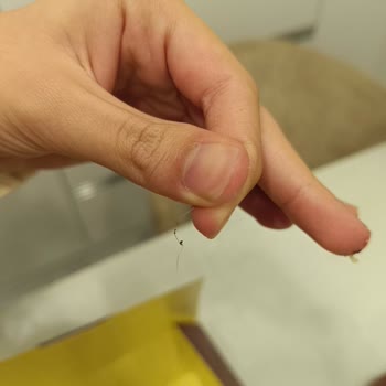 Kahve Dünyası'ndan Aldığım Pastadan Kıl Çıktı, Hijyen Ve İade Talebim Var