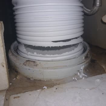 Tuvaletten Çıkan Lağım Faresi Nedeniyle Sağlık Ve Güvenlik Tehlikesi!