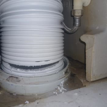 Tuvaletten Çıkan Lağım Faresi Nedeniyle Sağlık Ve Güvenlik Tehlikesi!