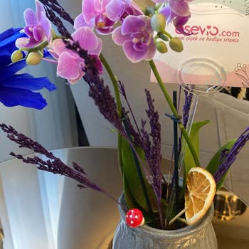 Siparişimde Eksik Ve Kurumuş Ürün Teslim Edildi Hayal Kırıklığı Yaşadım