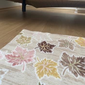 Yeni Alınan Koltuk Takımında Sürekli Yay Problemi Ve İlgisizlik