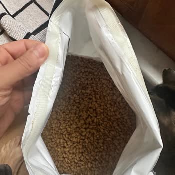 Aldığım Kedi Mamasının Orijinal Olmadığına Dair Ciddi Şüphelerim Var