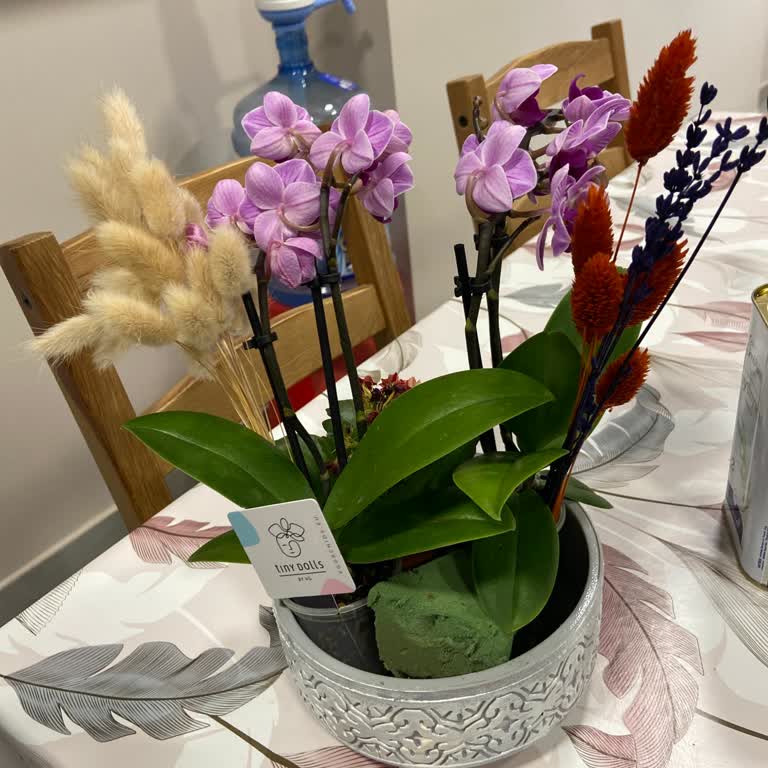 Çiçek Sepeti'nden Eksik Ve Farklı Ürün, İade Talebim Cevapsız Kaldı