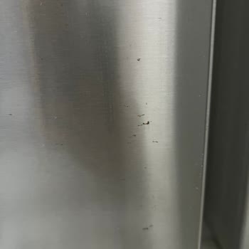 Bosch Buzdolabında Garanti Dışı Sürekli Paslanma Ve Servis Desteği Sorunu