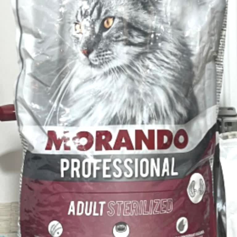 Bozuk Kedi Maması Ve İlgisiz Müşteri Hizmetleri Mağduriyeti