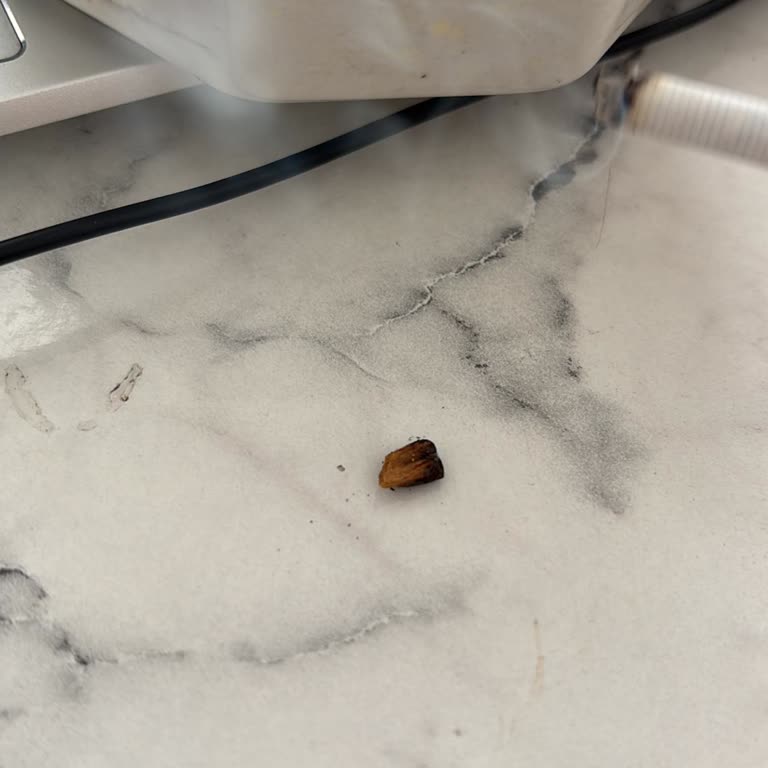 Sigara Paketlerinden Çıkan Büyük Odun Parçaları Güvenimi Zedeliyor