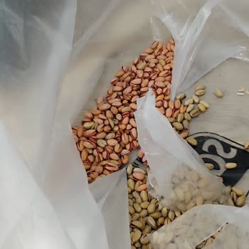 UPS Türkiye'den Eksik Ve Dağınık Kargo Teslimatı Mağduriyeti