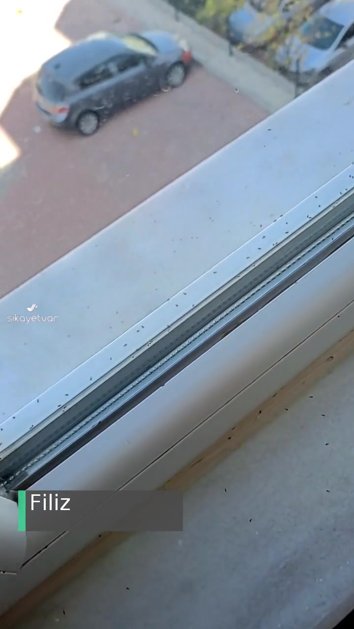 Şehitkamil Belediyesi Lütfen İlaçlama Yapınız! videonun kapak resmi