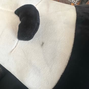 Z Markasıyla Yaşadığım Süregelen Sorun Ve Müşteri Hizmetlerinden Sonuç Alamama