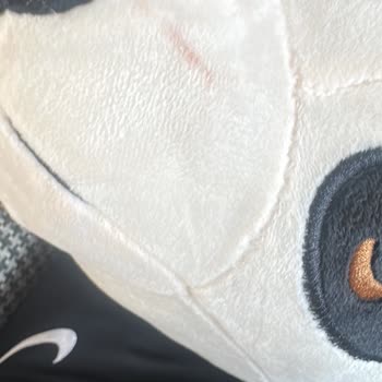 Z Markasıyla Yaşadığım Süregelen Sorun Ve Müşteri Hizmetlerinden Sonuç Alamama